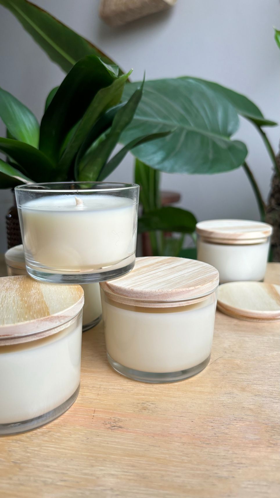 Velas Anne: potes de vidro com cera clara e tampas de madeira